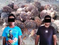 Kurang Dari 12 Jam, Polsek Gunung Sugih Ringkus Dua Pelaku Curat