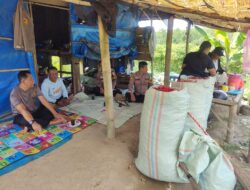 Kapolsek Banjar Agung Tinjau Lahan Cabai, Terungkap Fakta Mengejutkan Soal Hasil Panen