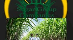 Lahan HGU Sugar Group 85.245 Hektar di Cabut Kementerian ATR/BPN 