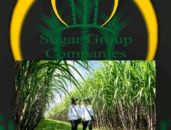 Lahan HGU Sugar Group 85.245 Hektar di Cabut Kementerian ATR/BPN 