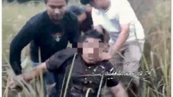 Kejar-kejaran Dramatis di Tol JTTS, DPO Curat Nekat Terjun ke Jurang